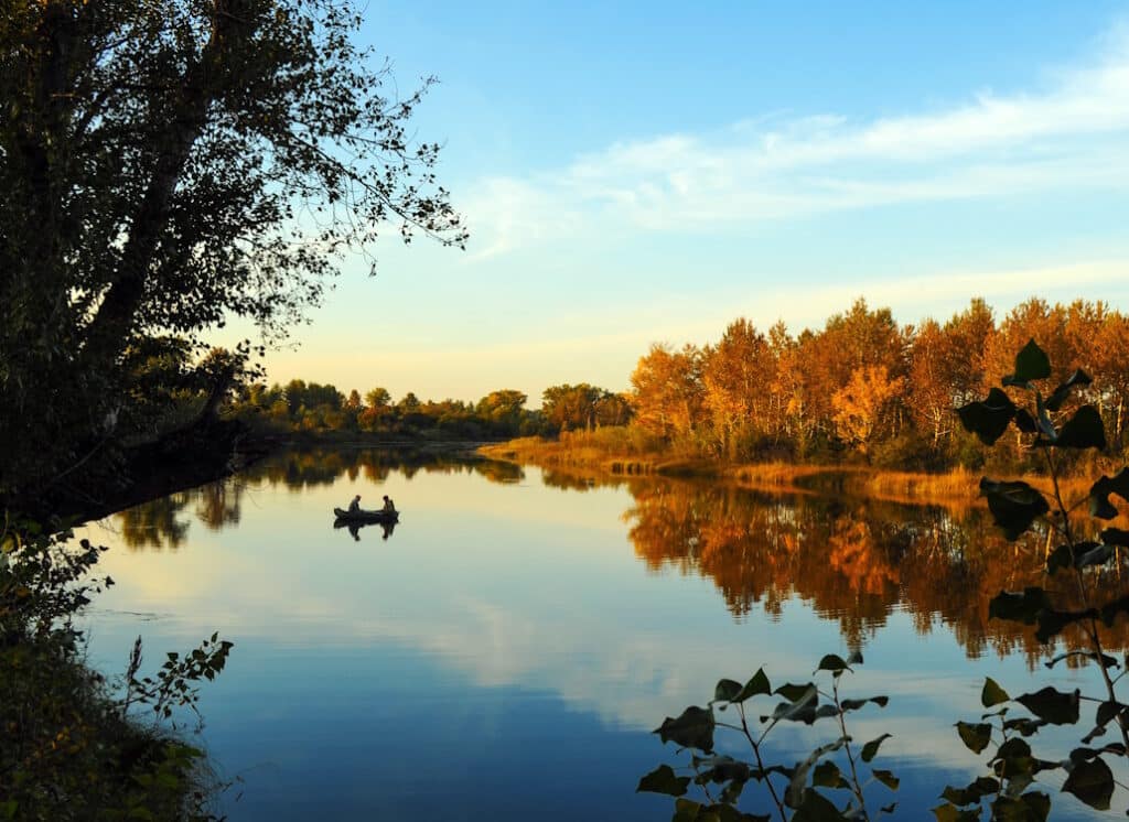 Wallerangeln im Herbst